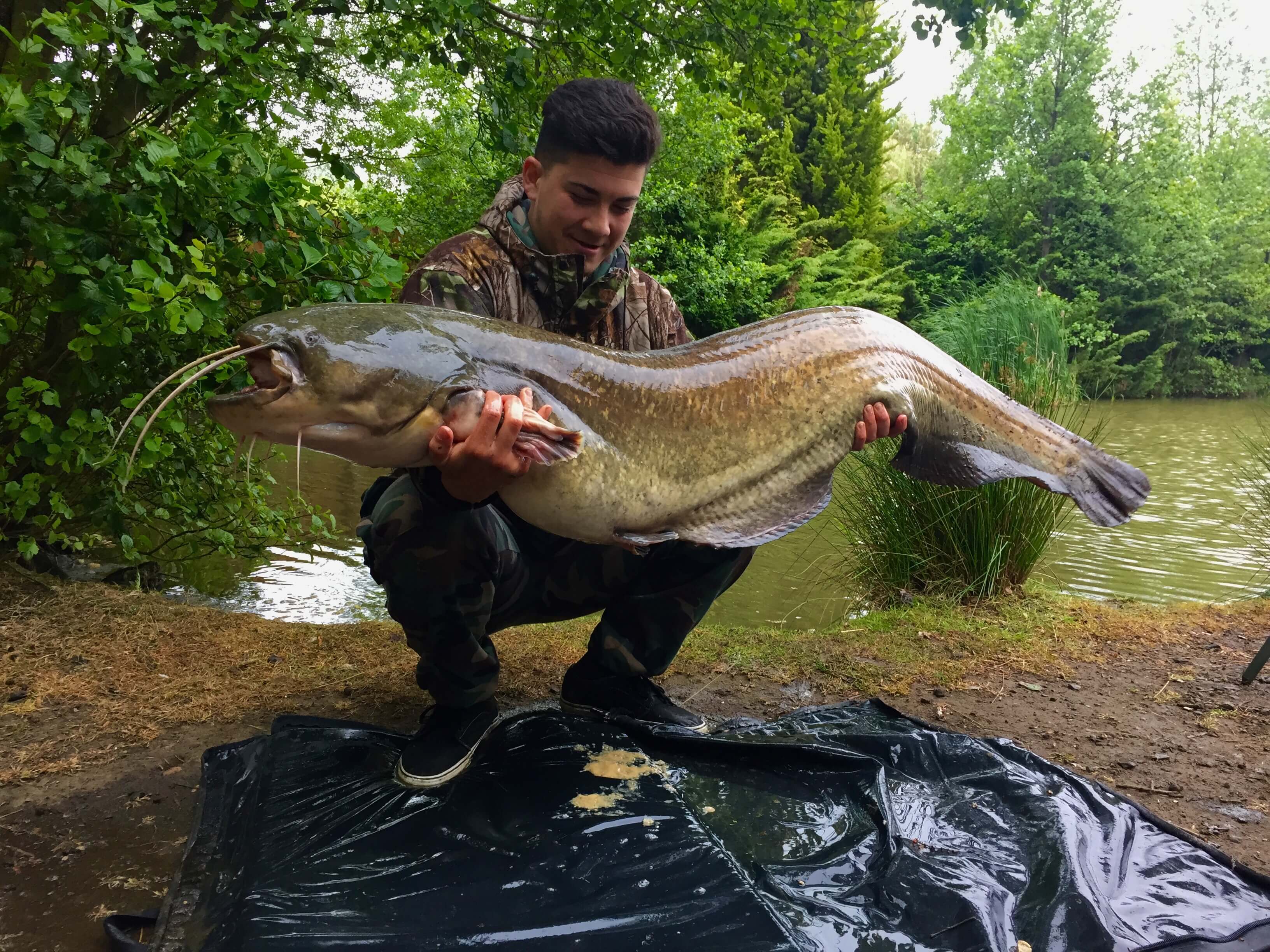 Crow Green Fishery Catfish and Carp Fishing in Essex